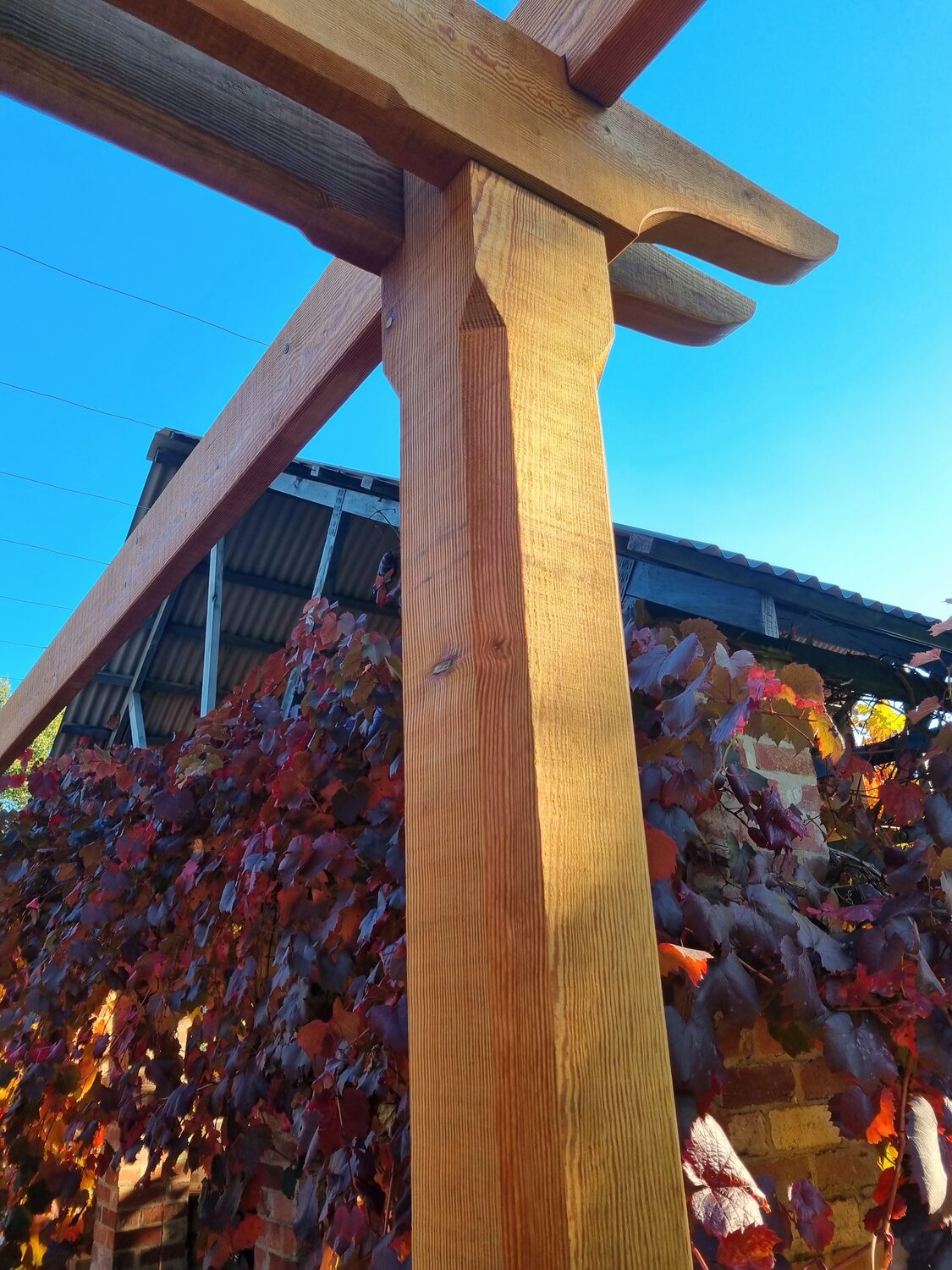 Pergola during works, the Lawson family home, Castlemaine