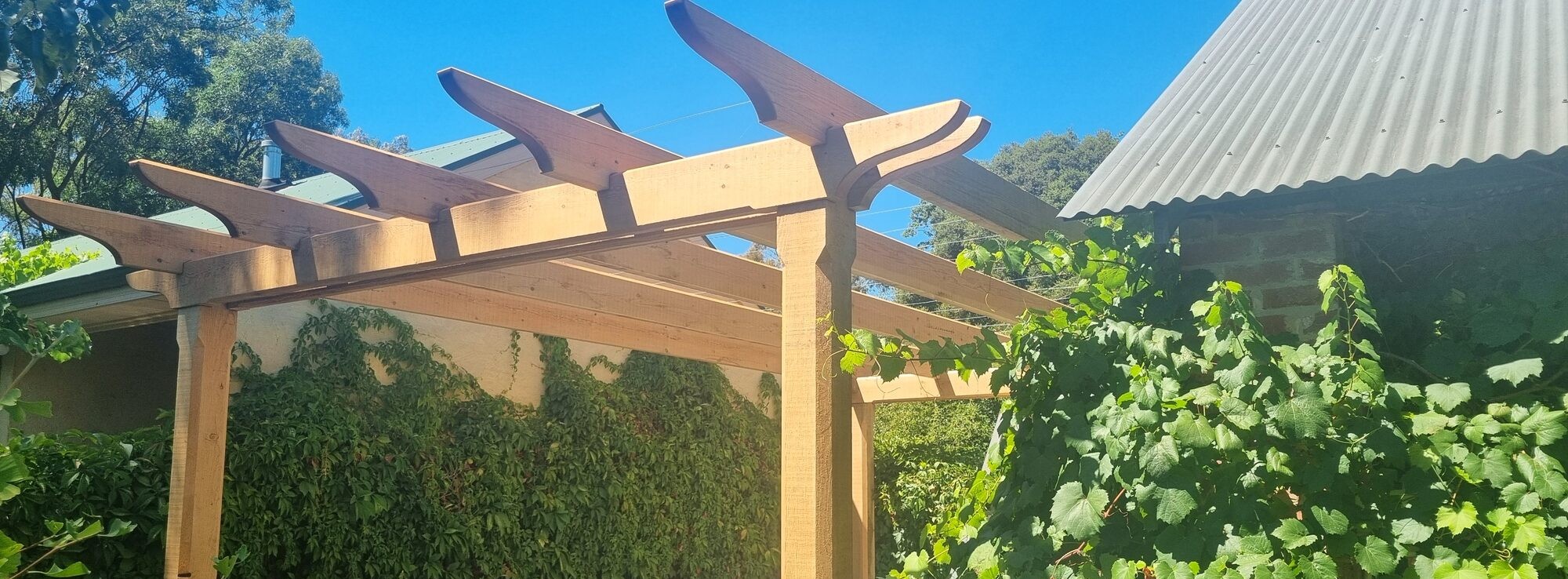 Hand-built timber pergola with grapevine — Lawson